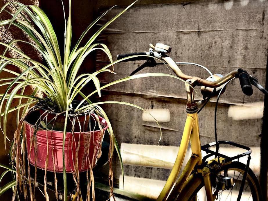 Maya Rhome Trastevere Rome Exterior photo